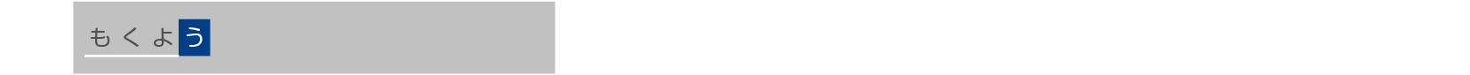 Text Input4_HDD2040